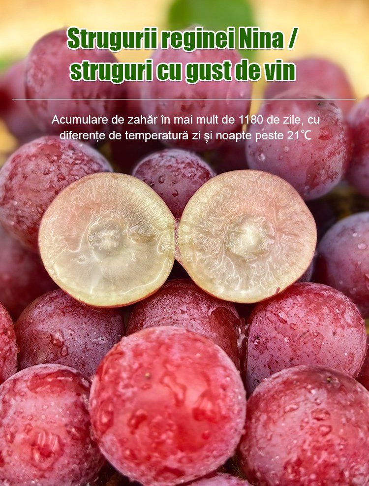 【Aroma de vin】Semințe de struguri regina Nina