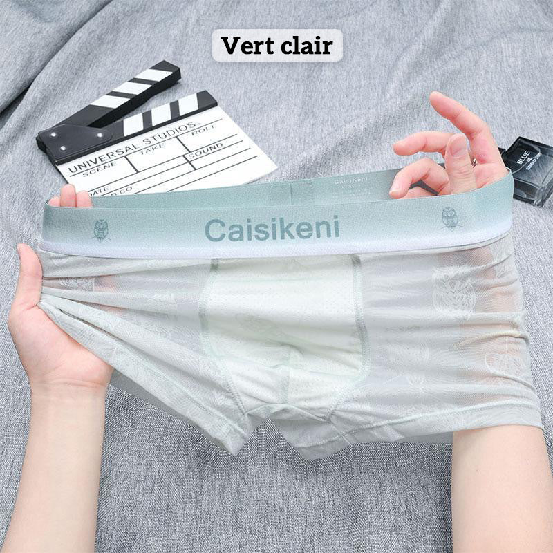 🎁Cumpărați 1 și primiți 2 gratuit 🎁 Boxer pentru bărbați, răcoritori, respirabili, cu talie elastică